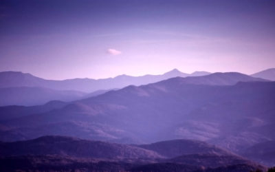 Wellcome to our Blog